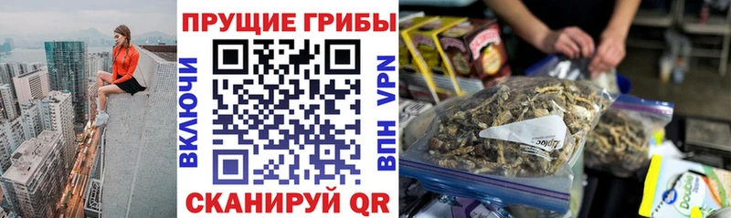Галлюциногенные грибы Cubensis  Нижний Ломов 